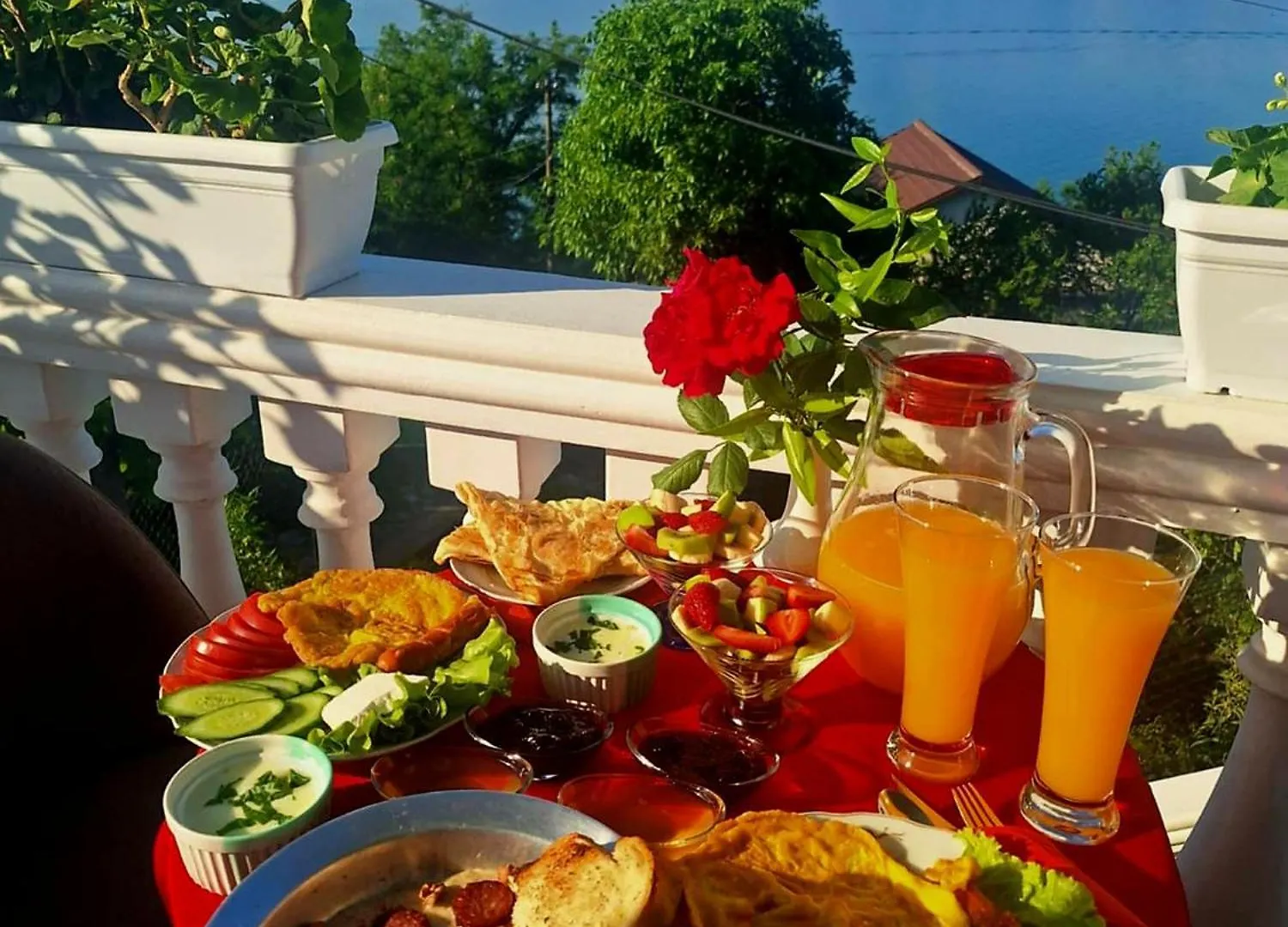 Guest Home Guri Široka